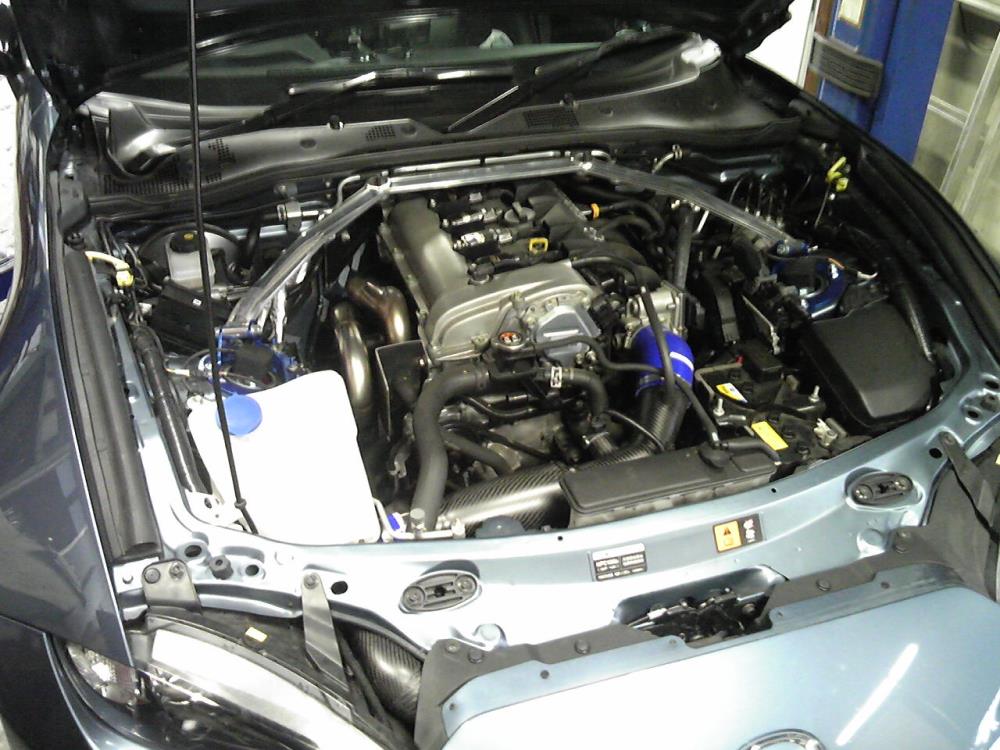 SBSH0845 (2).jpg