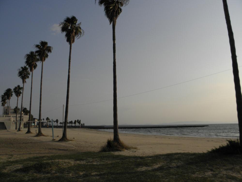 PA300005.jpg