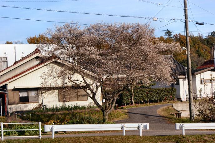 DSC07905.jpg