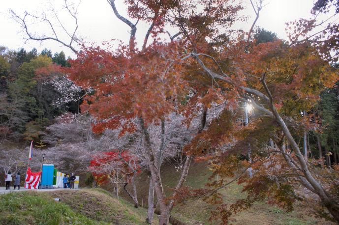 DSC07921.jpg