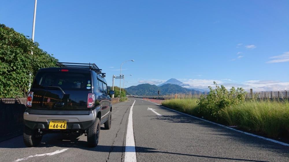 スカんクー♪