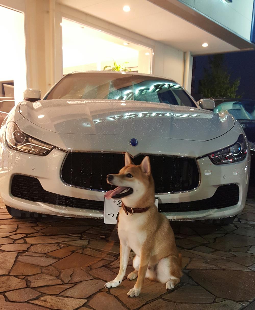 20150828_184929-1.jpg