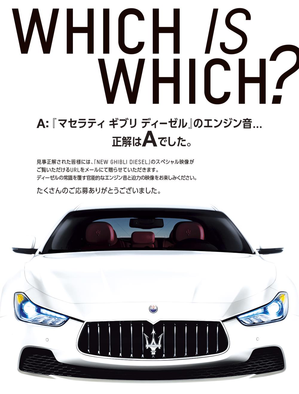 bg_answer.png