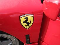 IMG_1921.jpg