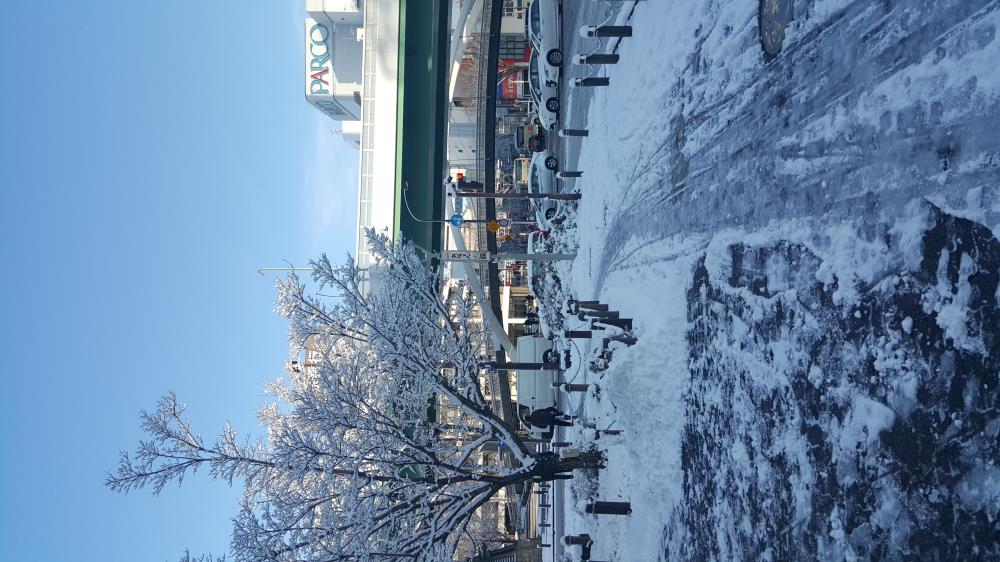 20160120_084438.jpg