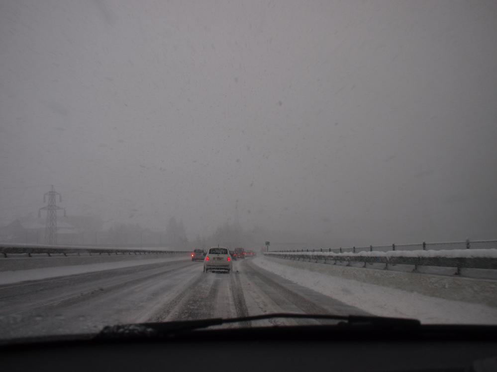 P1010070.jpg
