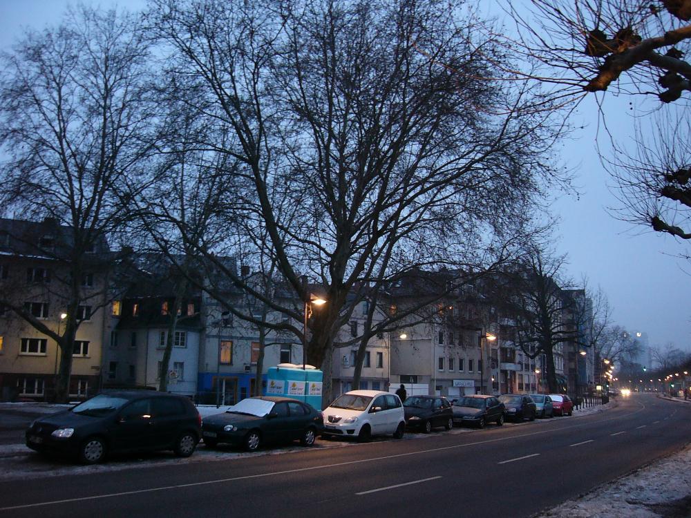 P1140166.jpg