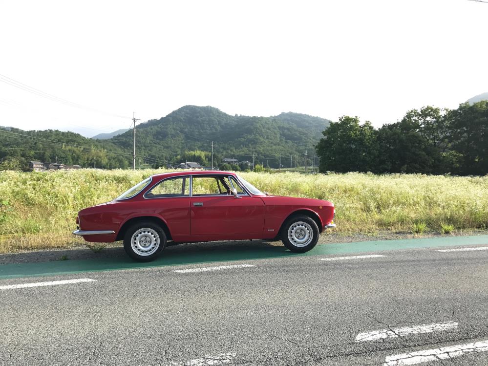 GT Junior