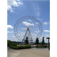 IMG_2995.jpg