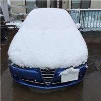 IMG_3663.jpg