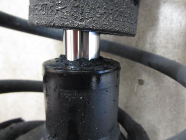 pj_147de29721a.jpg