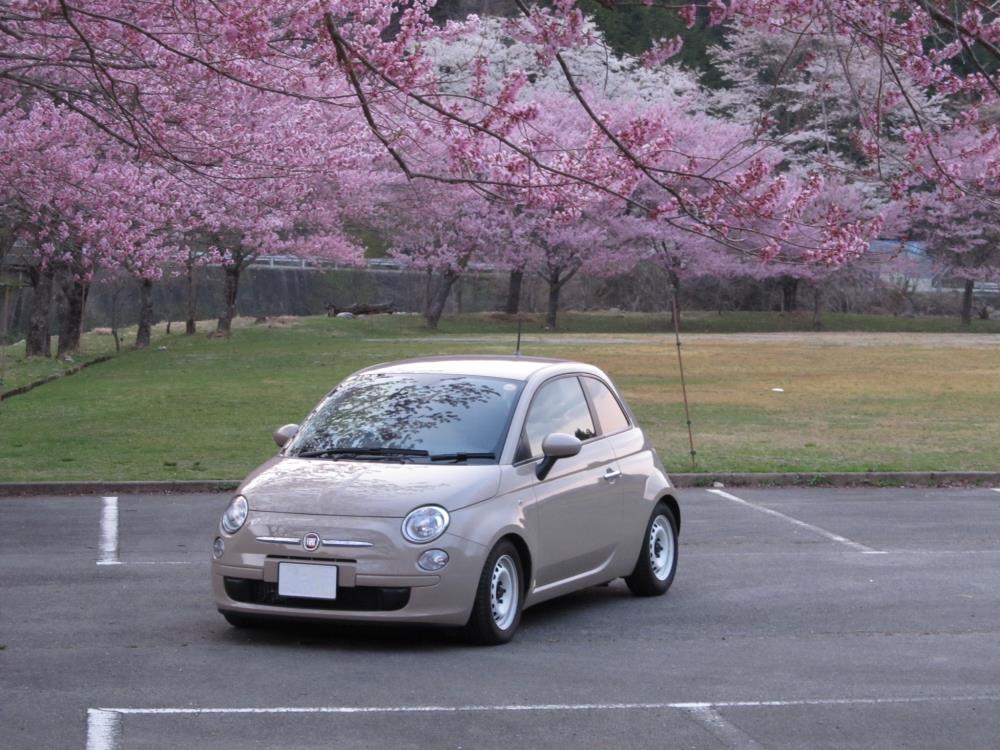 クレミーノ