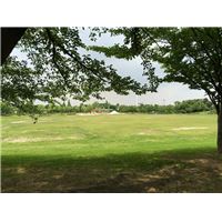 IMG_4558.jpg
