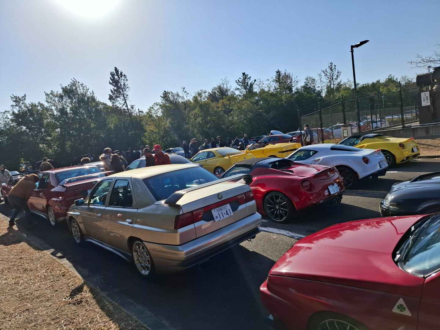 b350339acc6c419d832f528da4e0ae50.jpg