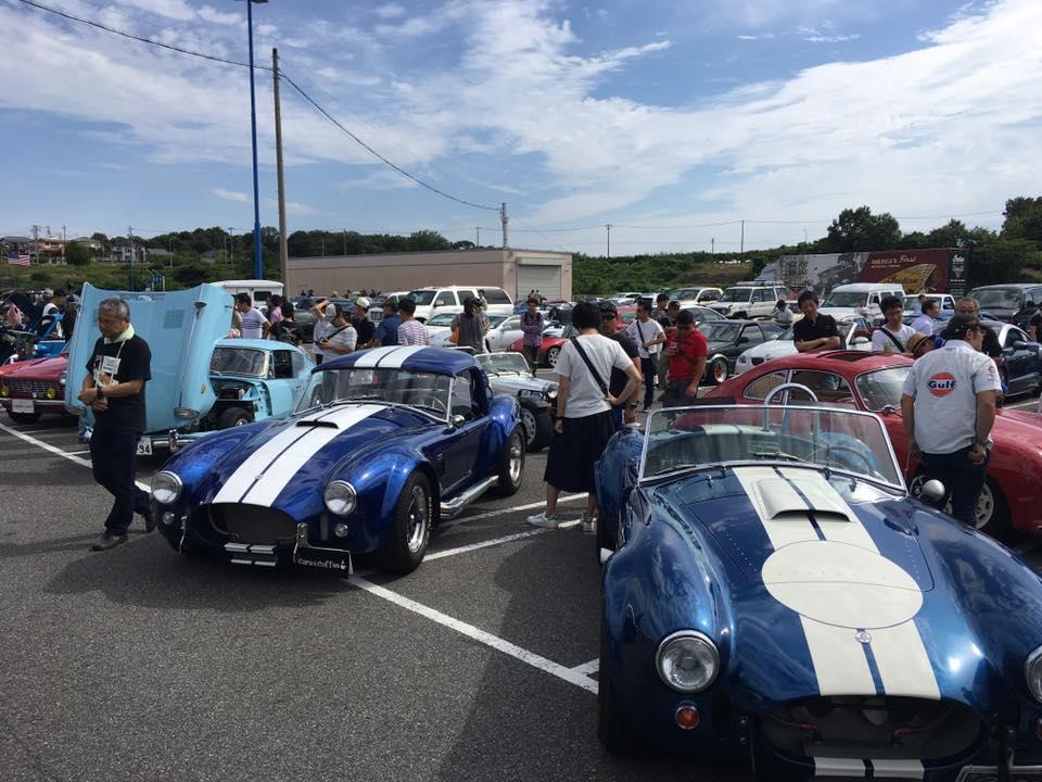 cobra.jpg