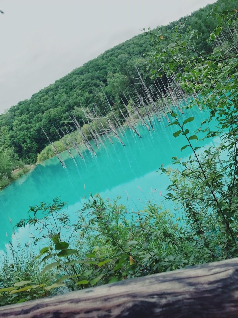 北海道画像５.jpg