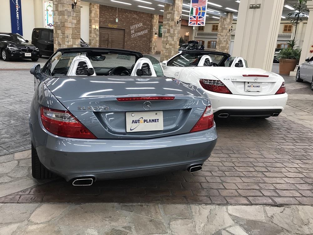 S__136060945.jpg
