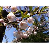 20110426.jpg
