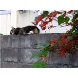 DSCF2483.JPG