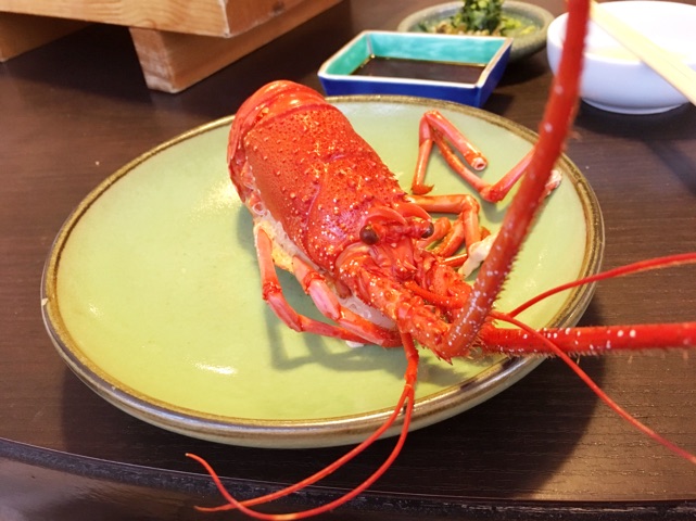 2017いせえび.jpg