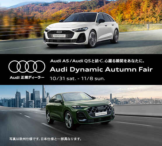 Audi-Dynamic-Autumn-Fair_A.jpg