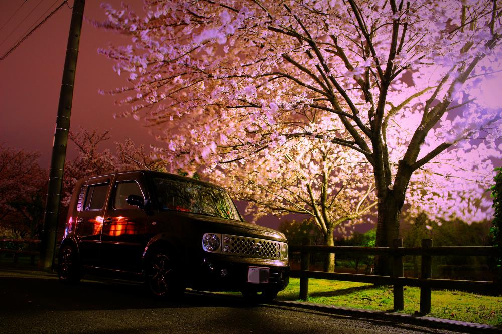 20150404_063505_579_1.jpg
