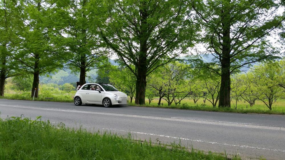プロフィール2に写真を追加してください。