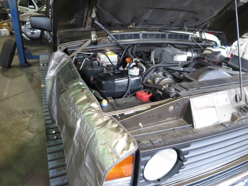o4000300014137702569.jpg