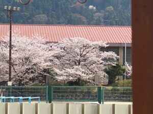 IMG_7610-300x225.jpg