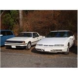 DSC00840-1.jpg