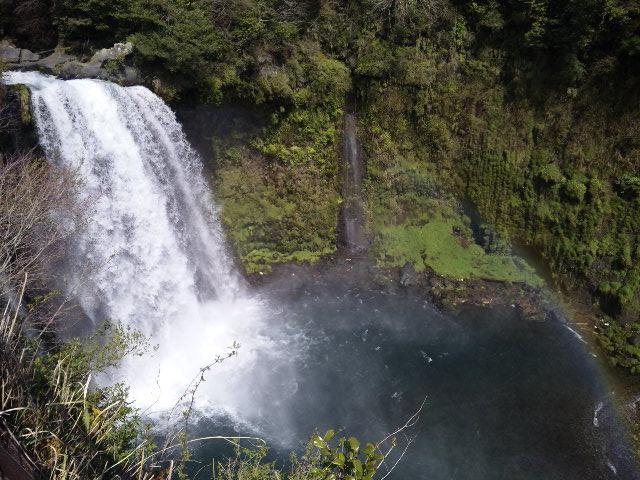 DVC00126.jpg