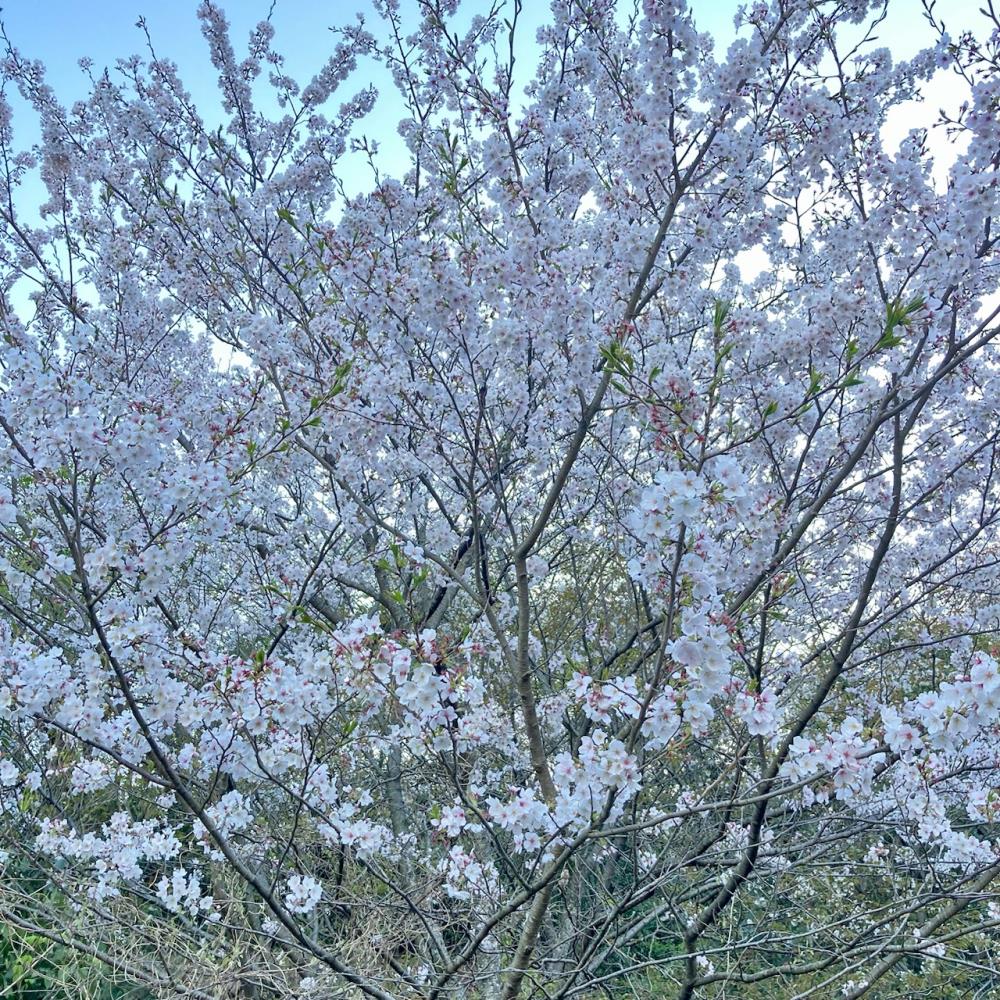 20230329_01.jpeg
