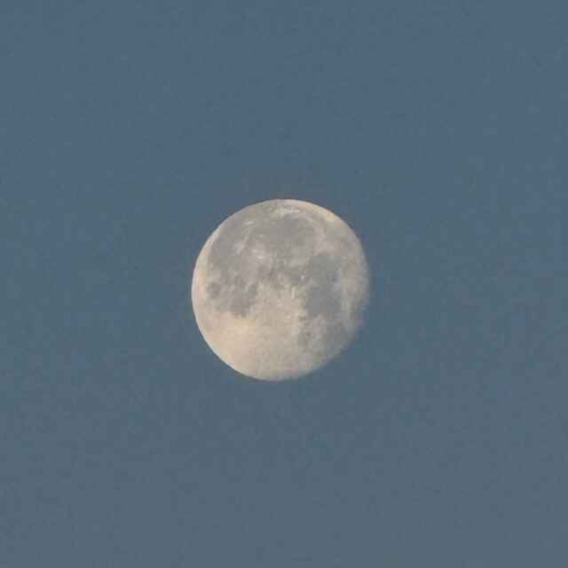 20260204_02.jpeg