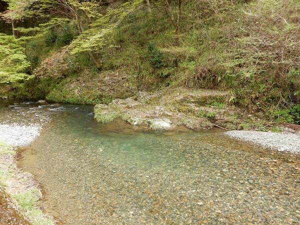 DSCN0694 (600x450).jpg