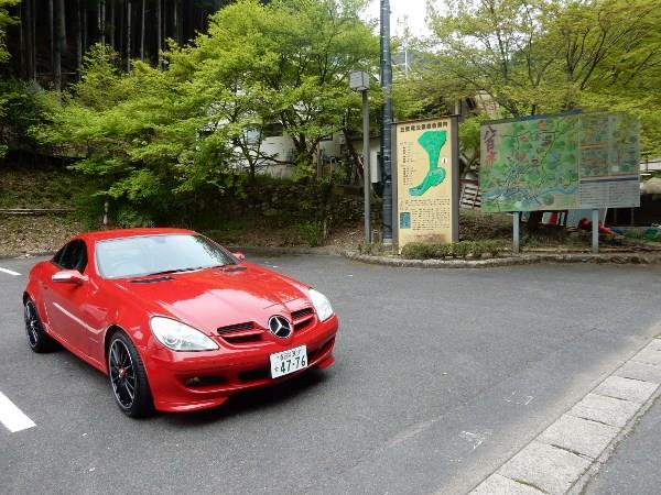 DSCN0732 (600x450).jpg