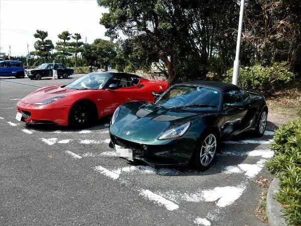 DSCN1186 (600x450).jpg