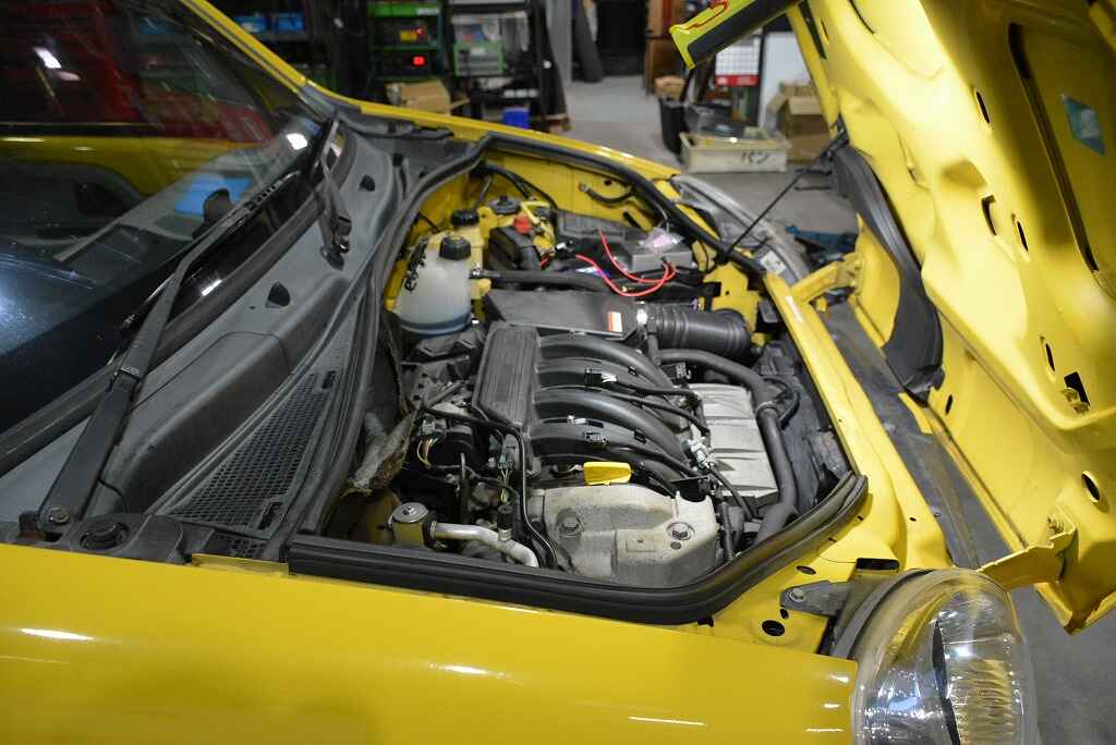 DSC_6615.jpg