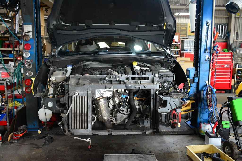 DSC_2552.jpg