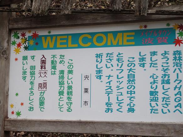 ナイスデー.jpg