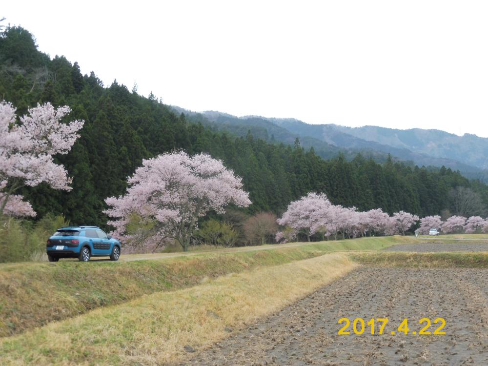 プロフィール3に写真を追加してください。