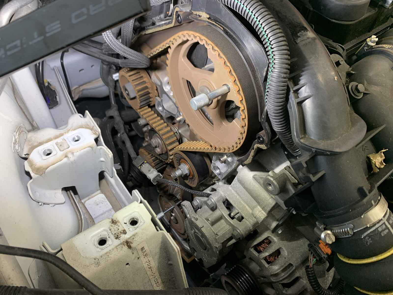 636160388_1533920298733795_8747642709907897832_n.jpg