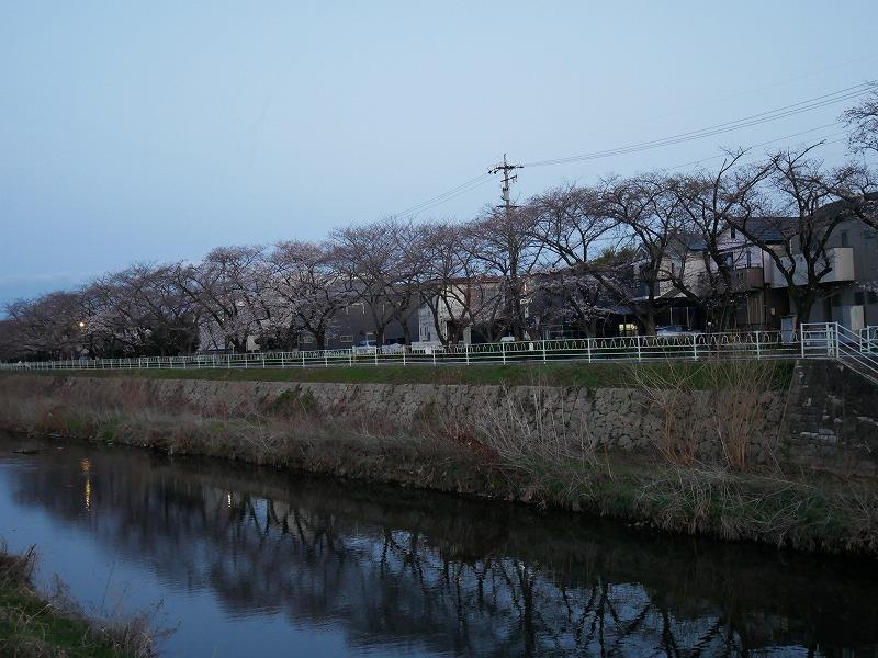 P1340093.jpg