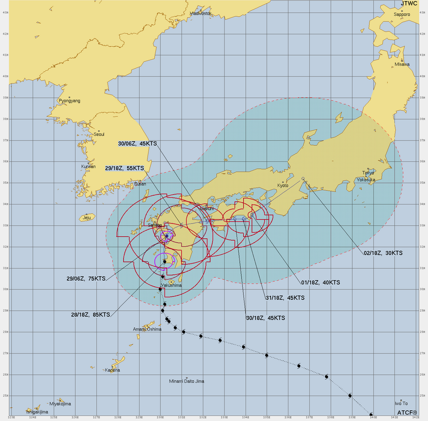 スクリーンショット-2024-08-29-09.00.08.png