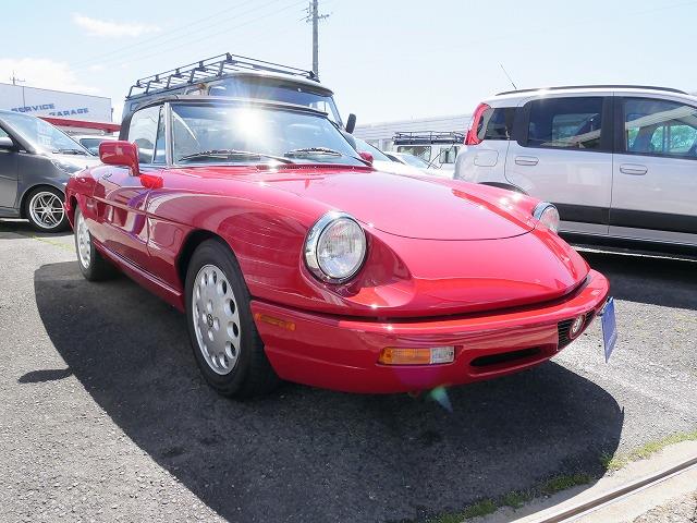 P1040426.jpg