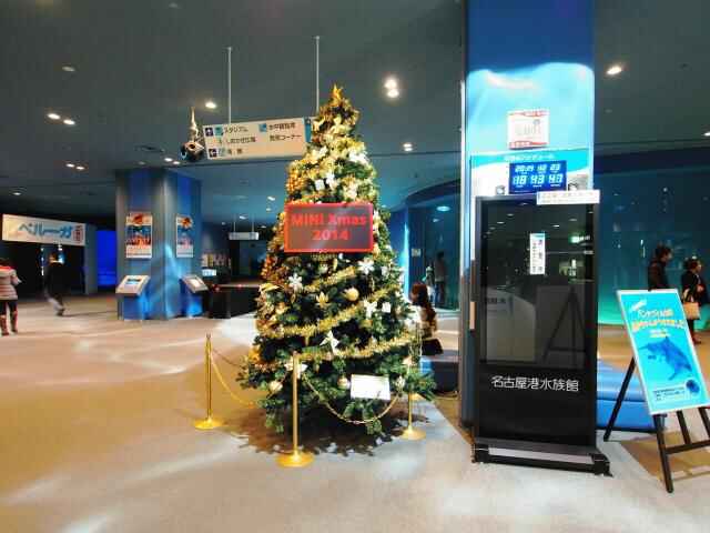 PC230036-2-thumb-640x480-97842.jpg