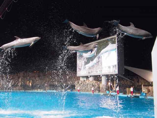 PC230076-2-thumb-640x480-97869.jpg
