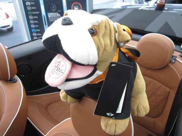 F57SS-thumb-640x480-164117.jpg