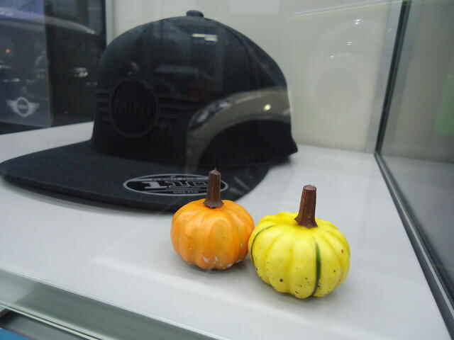 DSC09167-thumb-640xauto-27399.jpg