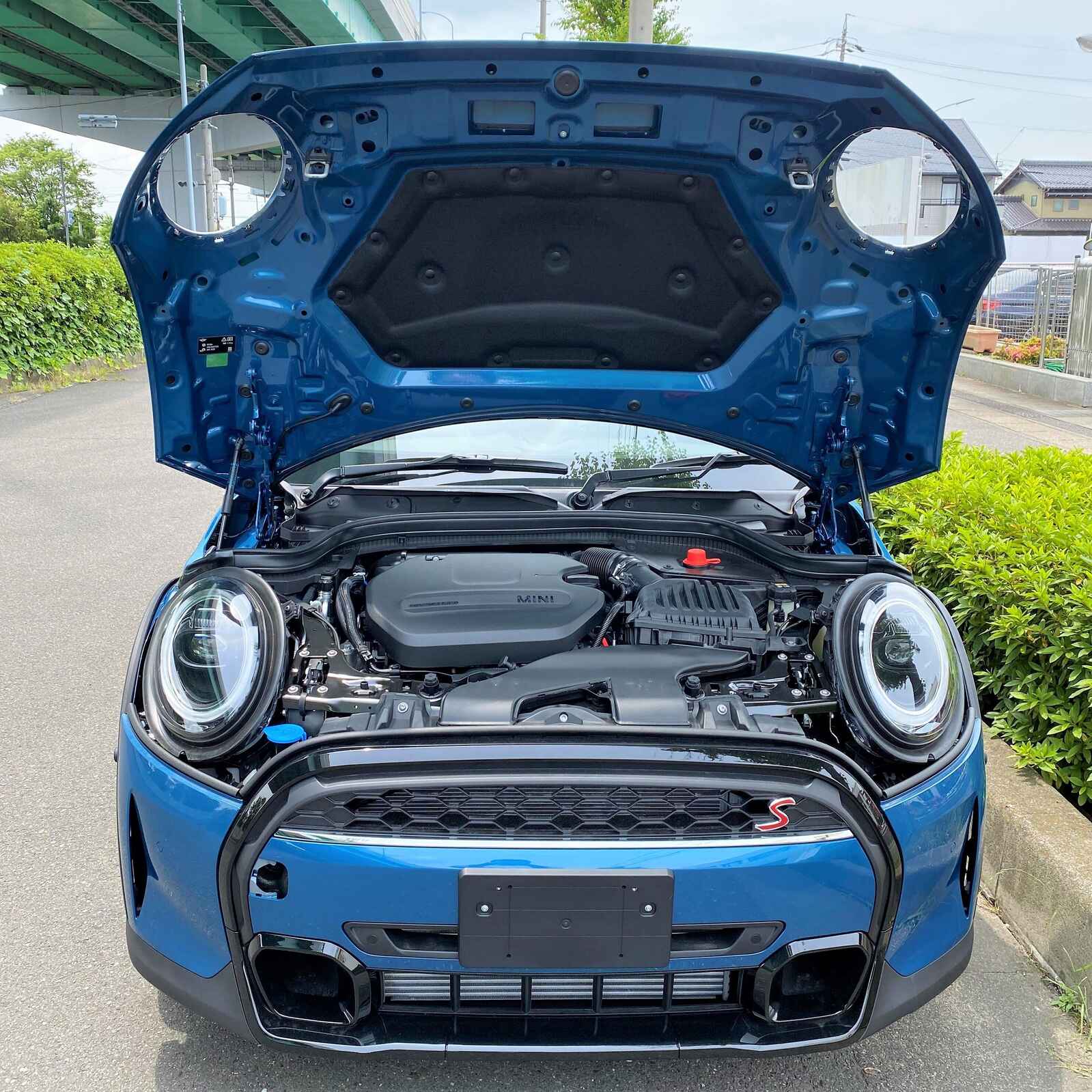 MINI1 (2).jpg