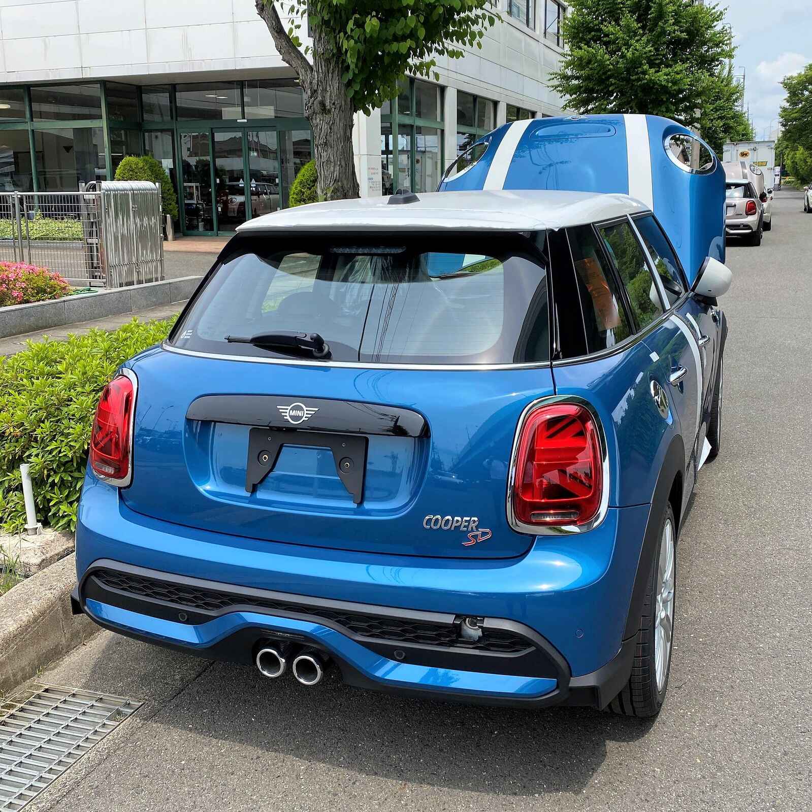 MINI3 (2).jpg